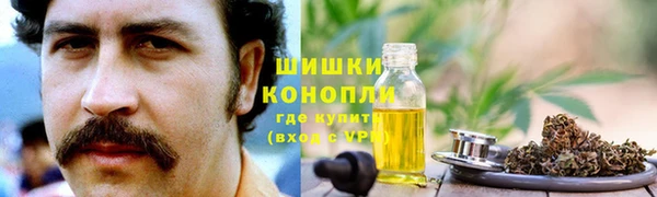 PSILOCYBIN Богородицк