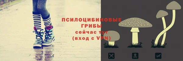 кокаин Богданович