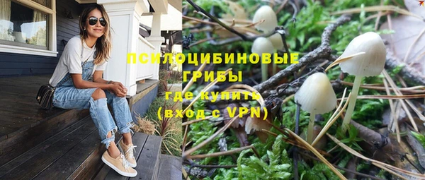 mdpv Богородск