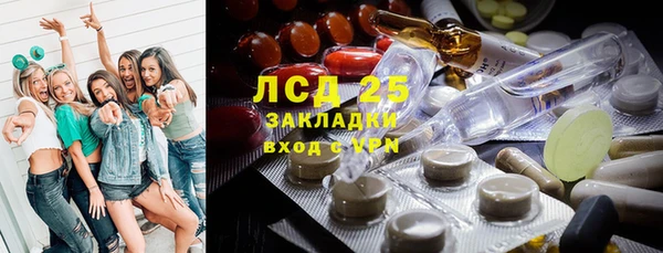 PSILOCYBIN Богородицк