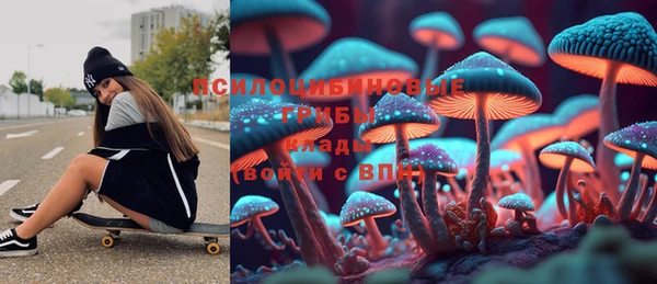 PSILOCYBIN Богородицк