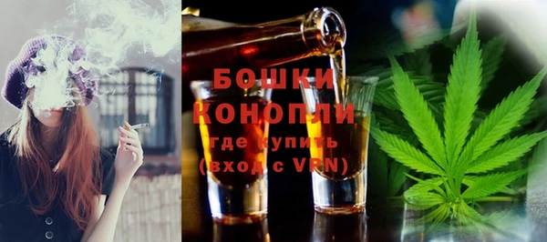 PSILOCYBIN Богородицк