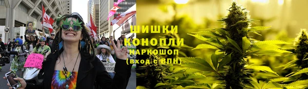 mdpv Богородск